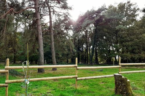 Erhvervsejendom i Malguénac, Morbihan, Malguénac - € 471.500 | Ref: 56075-2305 - foto 4