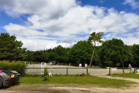 Erhvervsejendom i Malguénac, Morbihan, Malguénac - € 471.500 | Ref: 56075-2305 - foto 9