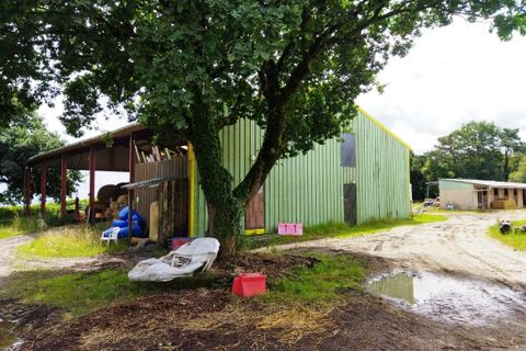Erhvervsejendom i Malguénac, Morbihan, Malguénac - € 471.500 | Ref: 56075-2305 - foto 12