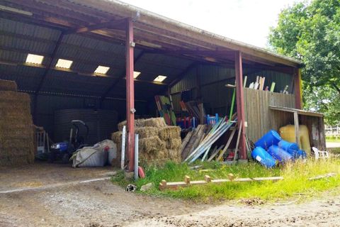 Erhvervsejendom i Malguénac, Morbihan, Malguénac - € 471.500 | Ref: 56075-2305 - foto 13