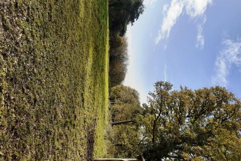Erhvervsejendom i Malguénac, Morbihan, Malguénac - € 471.500 | Ref: 56075-2305 - foto 24
