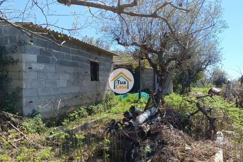 Helårsgrund i Castelo Branco, Castelo Branco, Castelo Branco - € 200.000 | Ref: 1TC3687 - foto 8