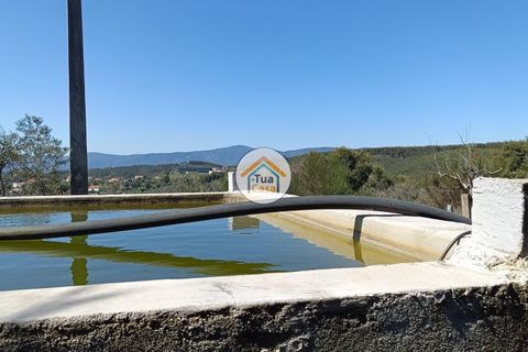 Helårsgrund i Castelo Branco, Castelo Branco, Castelo Branco - € 200.000 | Ref: 1TC3687 - foto 13