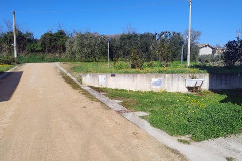 Farm hus i Montegiorgio, Fermo, Montegiorgio - € 300.000 | Ref: mc0-44041 - foto 39