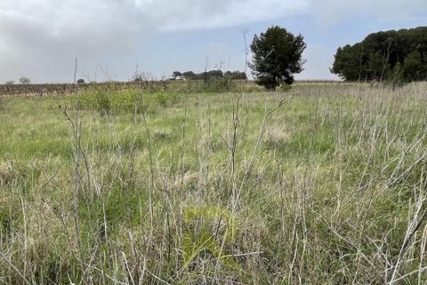 Helårsgrund i Servian, Herault, Servian - € 48.000 | Ref: 2_345515686 - foto 1