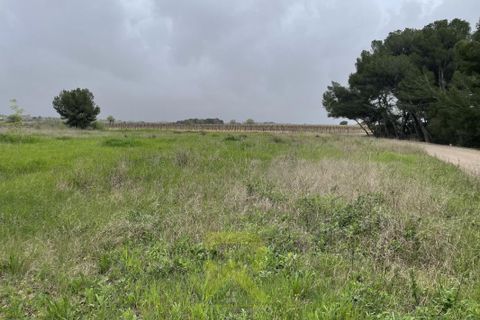Helårsgrund i Servian, Herault, Servian - € 48.000 | Ref: 2_345515686 - foto 3