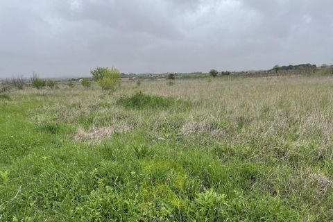 Helårsgrund i Servian, Herault, Servian - € 48.000 | Ref: 2_345515686 - foto 4