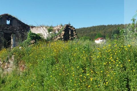Villa i Arganil, Coimbra, Arganil - € 15.000 | Ref: 633 - foto 4