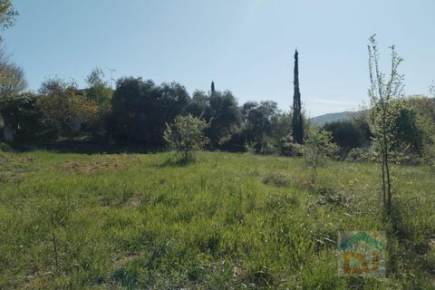 Tomt i Farra d'Isonzo, Gorizia, Farra d'Isonzo - € 67 000 | Ref: 3TMS67NC2 - foto 2