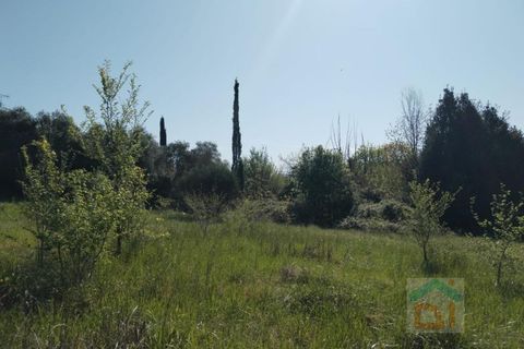 Tomt i Farra d'Isonzo, Gorizia, Farra d'Isonzo - € 67 000 | Ref: 3TMS67NC2 - foto 9