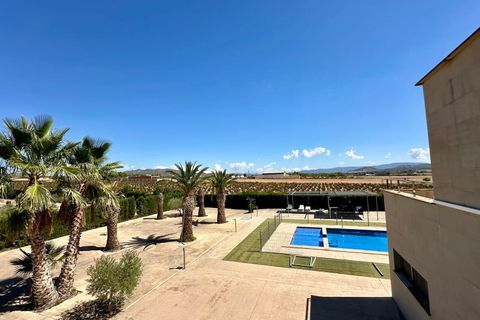 Villa a Yecla, Murcia, Yecla - € 499.000 | Ref: 40035-SSc2505 - foto 3