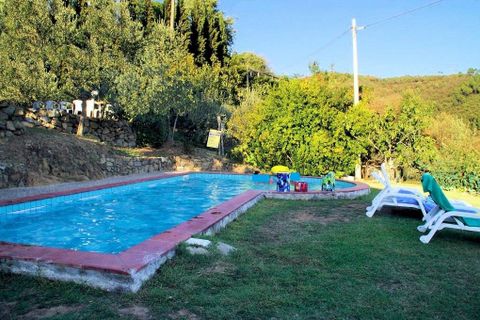 Landejendom i Lamporecchio, Pistoia, Lamporecchio - € 315.000 | Ref: 1622 - foto 5