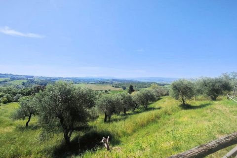 Landejendom i Palaia, Pisa, Palaia - € 710.000 | Ref: 1626 - foto 11