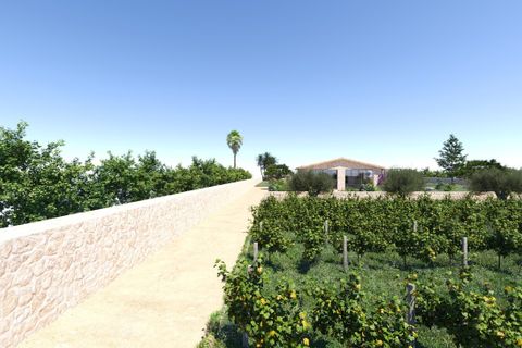 Landejendom i Inca, Mallorca, Inca - € 4.300.000 | Ref: SWOINC53102 - foto 20