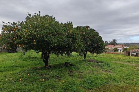 Byhus i Idanha-a-Nova, Castelo Branco, Idanha-a-Nova - € 96.000 | Ref: 135960 - foto 6
