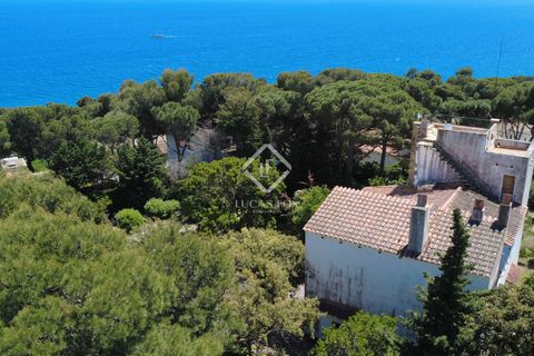 Helårsgrund i Calonge, Gerona, Calonge - € 1.800.000 | Ref: PDA59586 - foto 9