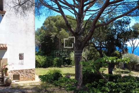 Helårsgrund i Calonge, Gerona, Calonge - € 1.800.000 | Ref: PDA59586 - foto 12