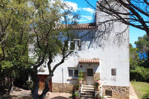 Helårsgrund i Calonge, Gerona, Calonge - € 1.800.000 | Ref: PDA59586 - foto 13