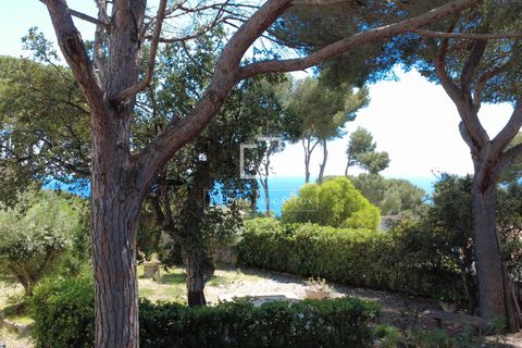 Helårsgrund i Calonge, Gerona, Calonge - € 1.800.000 | Ref: PDA59586 - foto 16