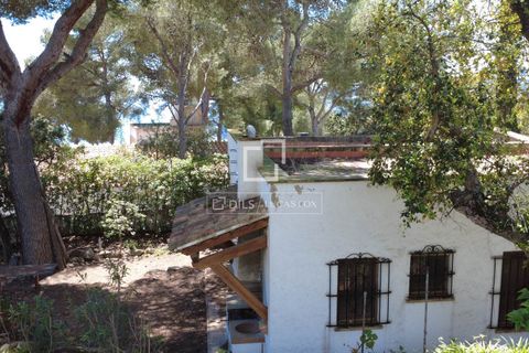 Helårsgrund i Calonge, Gerona, Calonge - € 1.800.000 | Ref: PDA59586 - foto 20
