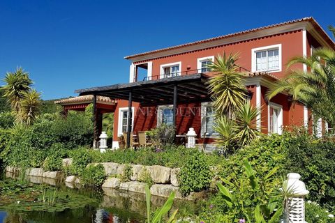 Villa a Monchique, Faro, Monchique - € 1.795.000 | Ref: FC1030VCZ - foto 21