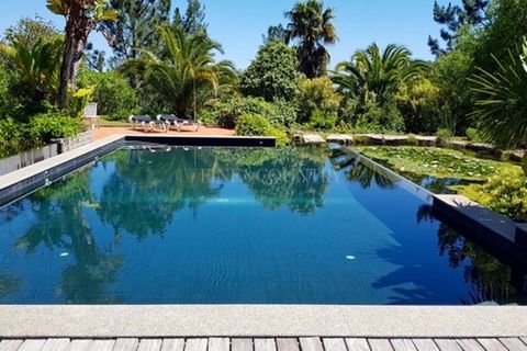 Villa a Monchique, Faro, Monchique - € 1.795.000 | Ref: FC1030VCZ - foto 45