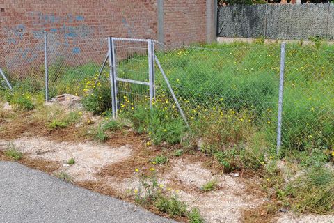 Terra a L'Ampolla, Tarragona, L'Ampolla - € 75.000 | Ref: Passeig_Centre_48/7003 - foto 6