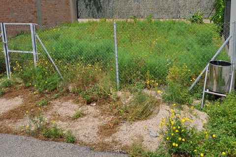 Terra a L'Ampolla, Tarragona, L'Ampolla - € 75.000 | Ref: Passeig_Centre_48/7003 - foto 8