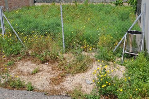 Terra a L'Ampolla, Tarragona, L'Ampolla - € 75.000 | Ref: Passeig_Centre_48/7003 - foto 11