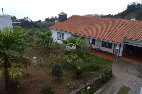 Villa a Camacha, Madeira, Camacha - € 475.000 | Ref: #257 - foto 2