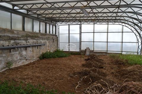 Villa a Camacha, Madeira, Camacha - € 475.000 | Ref: #257 - foto 20