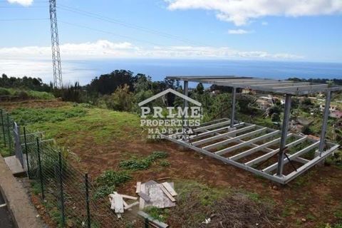Terra a Camacha, Madeira, Camacha - € 35.000 | Ref: #260 - foto 2