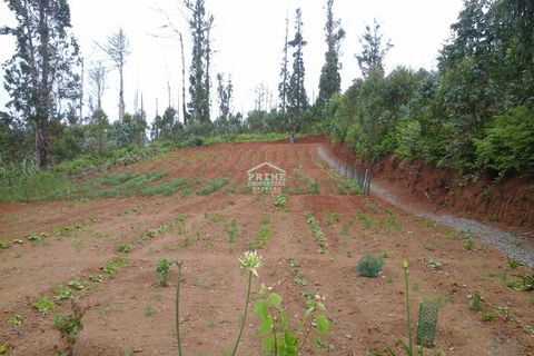 Helårsgrund i Calheta, Madeira, Calheta - € 80.000 | Ref: #972 - foto 1