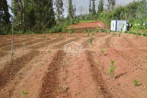 Helårsgrund i Calheta, Madeira, Calheta - € 80.000 | Ref: #972 - foto 2