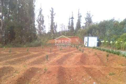 Helårsgrund i Calheta, Madeira, Calheta - € 80.000 | Ref: #972 - foto 5