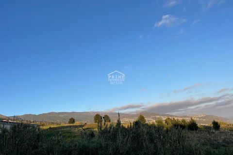 Helårsgrund i Calheta, Madeira, Calheta - € 525.000 | Ref: #1298 - foto 6