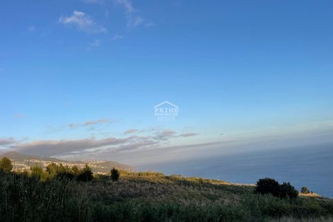Helårsgrund i Calheta, Madeira, Calheta - € 525.000 | Ref: #1298 - foto 7