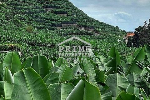 Helårsgrund i Calheta, Madeira, Calheta - € 425.000 | Ref: #1352 - foto 2