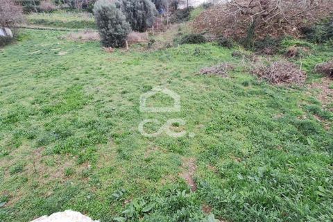 Helårsgrund i Ponte de Lima, Viana do Castelo, Ponte de Lima - € 75.000 | Ref: 401/T/00091 - foto 4