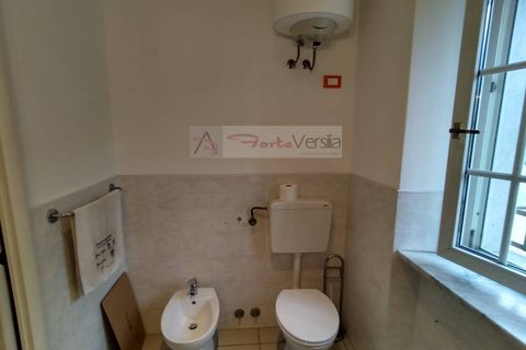 Erhvervsejendom i Seravezza, Lucca, Seravezza - € 90.000 | Ref: 3064 - foto 6