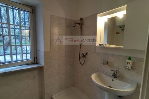 Erhvervsejendom i Seravezza, Lucca, Seravezza - € 90.000 | Ref: 3064 - foto 7