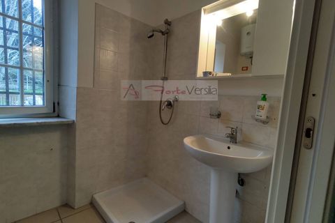 Erhvervsejendom i Seravezza, Lucca, Seravezza - € 90.000 | Ref: 3064 - foto 8