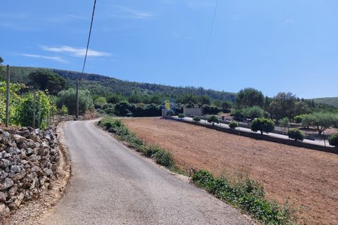 Helårsgrund i Cadaval, Lisbon, Cadaval - € 99.900 | Ref: CAL-216791 - foto 4