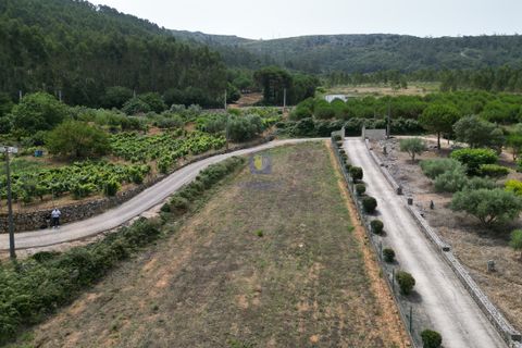 Helårsgrund i Cadaval, Lisbon, Cadaval - € 99.900 | Ref: CAL-216791 - foto 3