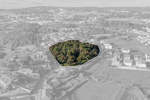 Helårsgrund i Santo Tirso, Porto, Santo Tirso - € 285.000 | Ref: C0510-00302 - foto 7