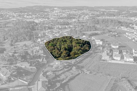 Helårsgrund i Santo Tirso, Porto, Santo Tirso - € 285.000 | Ref: C0510-00302 - foto 8