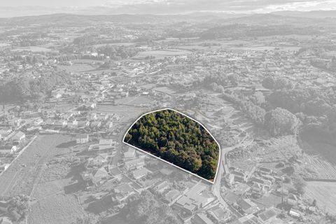 Helårsgrund i Santo Tirso, Porto, Santo Tirso - € 285.000 | Ref: C0510-00302 - foto 9