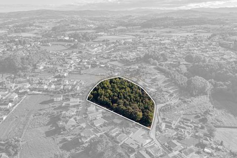 Helårsgrund i Santo Tirso, Porto, Santo Tirso - € 285.000 | Ref: C0510-00302 - foto 10