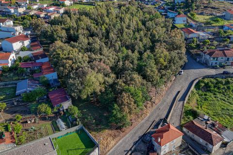 Helårsgrund i Santo Tirso, Porto, Santo Tirso - € 285.000 | Ref: C0510-00302 - foto 18