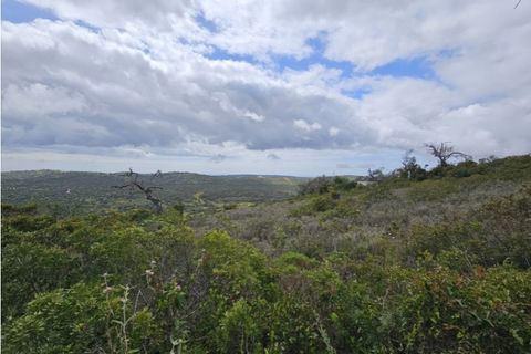 Helårsgrund i Paderne, Faro, Paderne - € 95.000 | Ref: 338250049 - foto 7